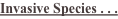 shapeimage_16_link_1